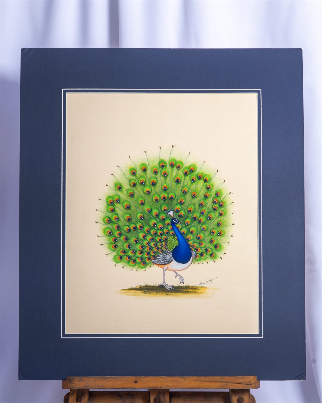 Dancing Peacock — full view
