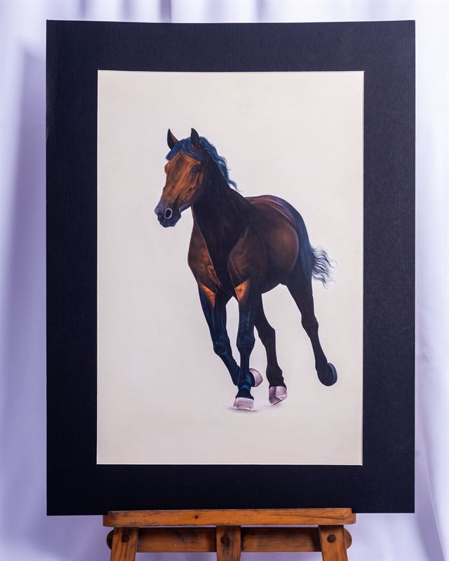 Marwari Horse Study — handmade Indian painting